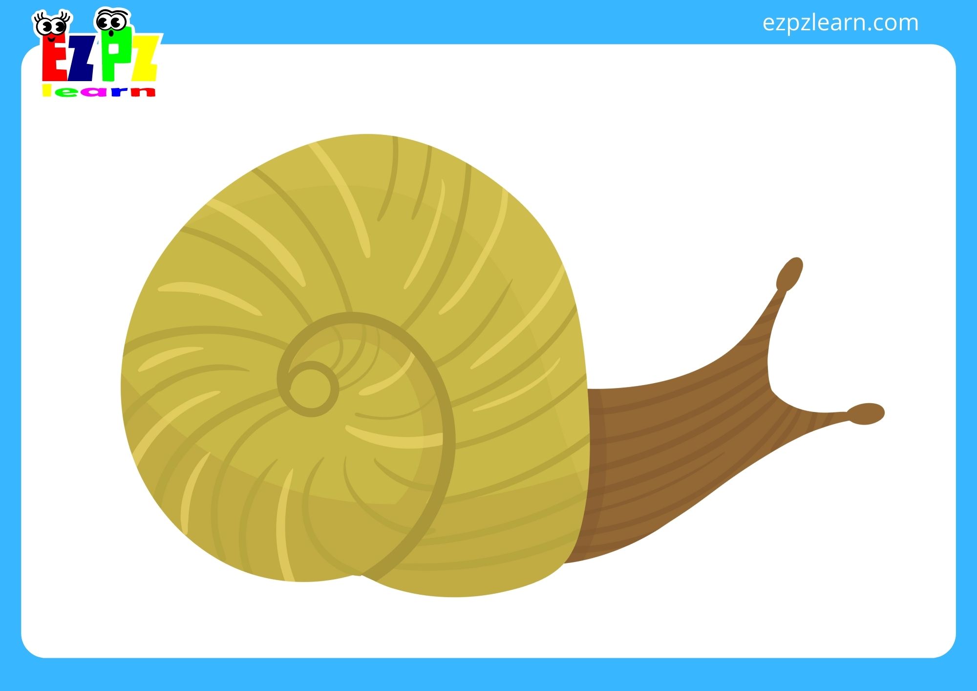 snail